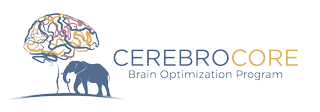 CerebroCore Logo