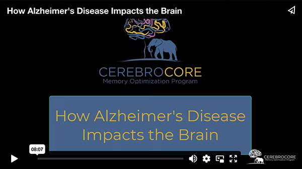 How alzheimers disease impacts the brain screenshot